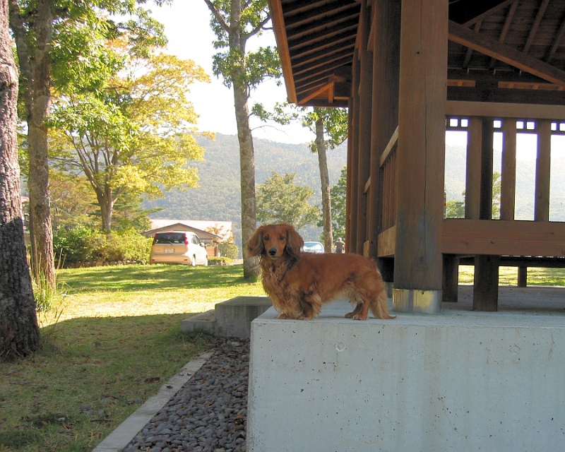 IMG_1167RES.jpg