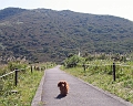 IMG_1178RES1