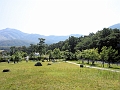 IMG_1184RESz